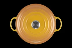 Cast Iron Soup Pot