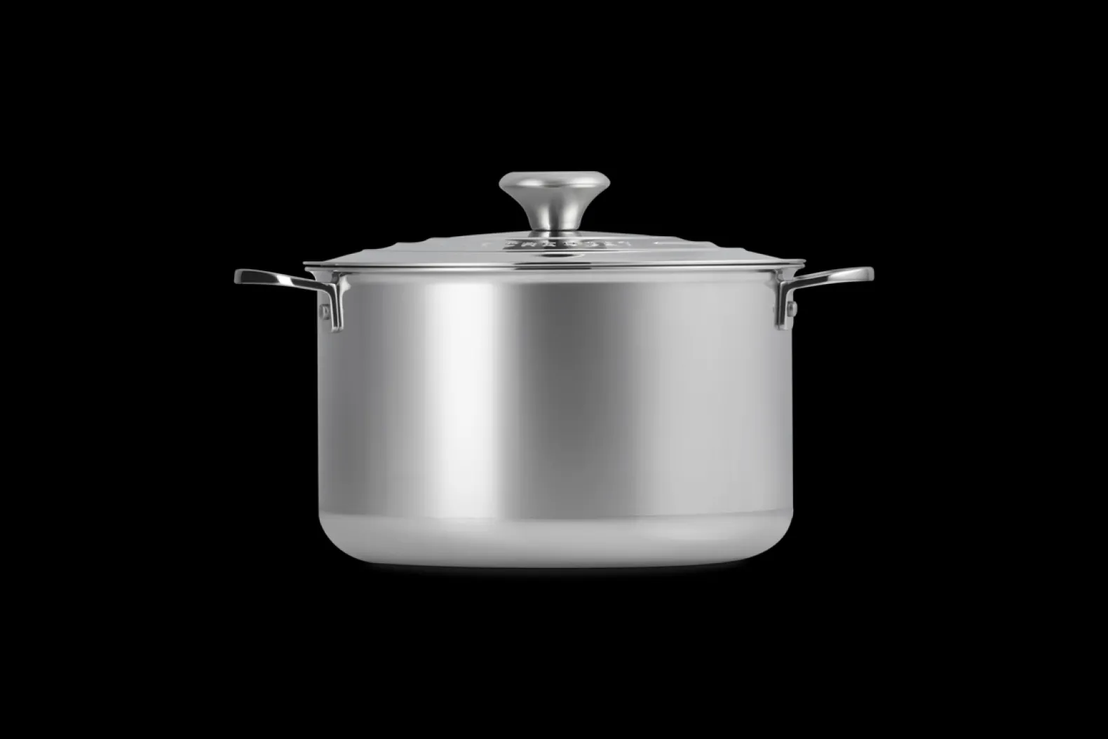 Signature Stainless Steel Stock Pot with Lid