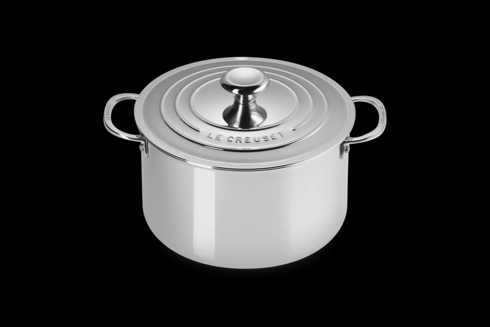 Signature Stainless Steel Stock Pot with Lid