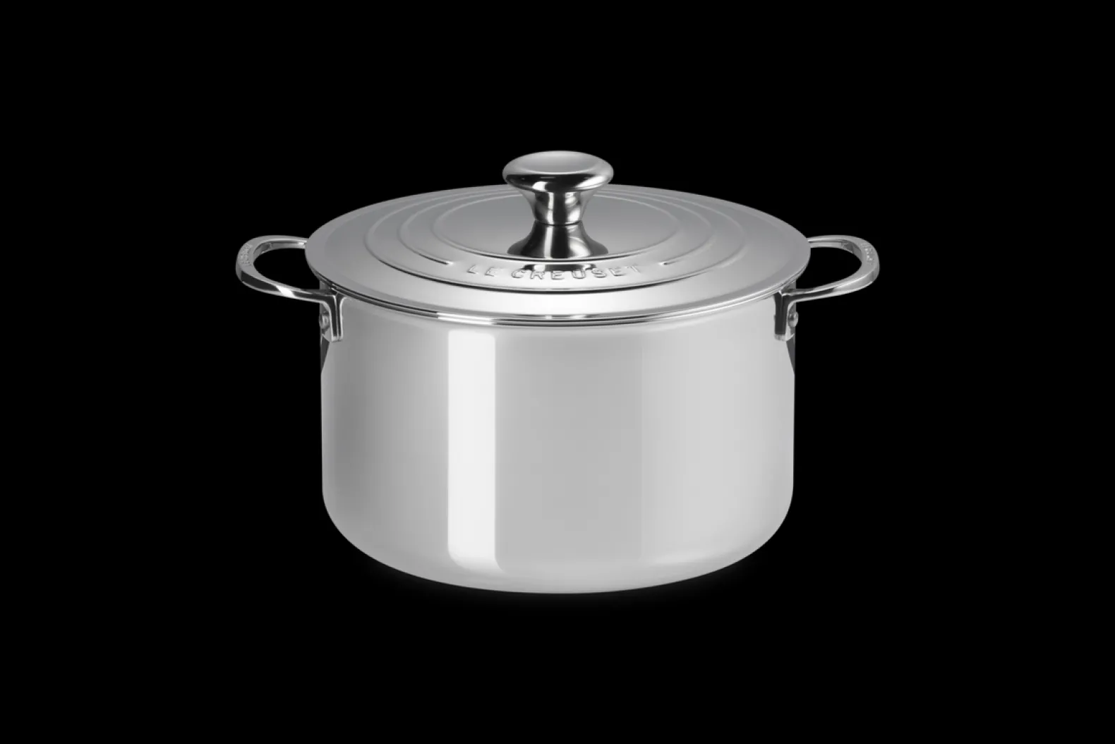 Signature Stainless Steel Stock Pot with Lid