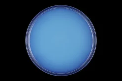 Stoneware Coupe Dinner Plate