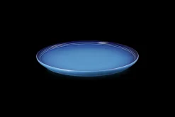 Stoneware Coupe Dinner Plate