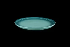 Stoneware Coupe Dinner Plate