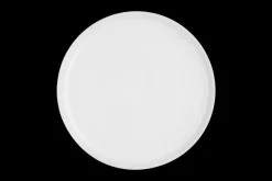 Stoneware Coupe Dinner Plate