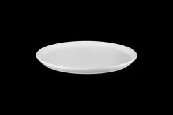Stoneware Coupe Dinner Plate