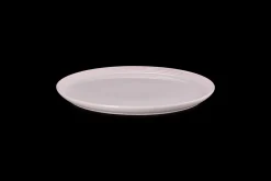 Stoneware Coupe Dinner Plate