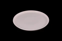 Stoneware Coupe Dinner Plate