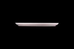 Stoneware Coupe Dinner Plate