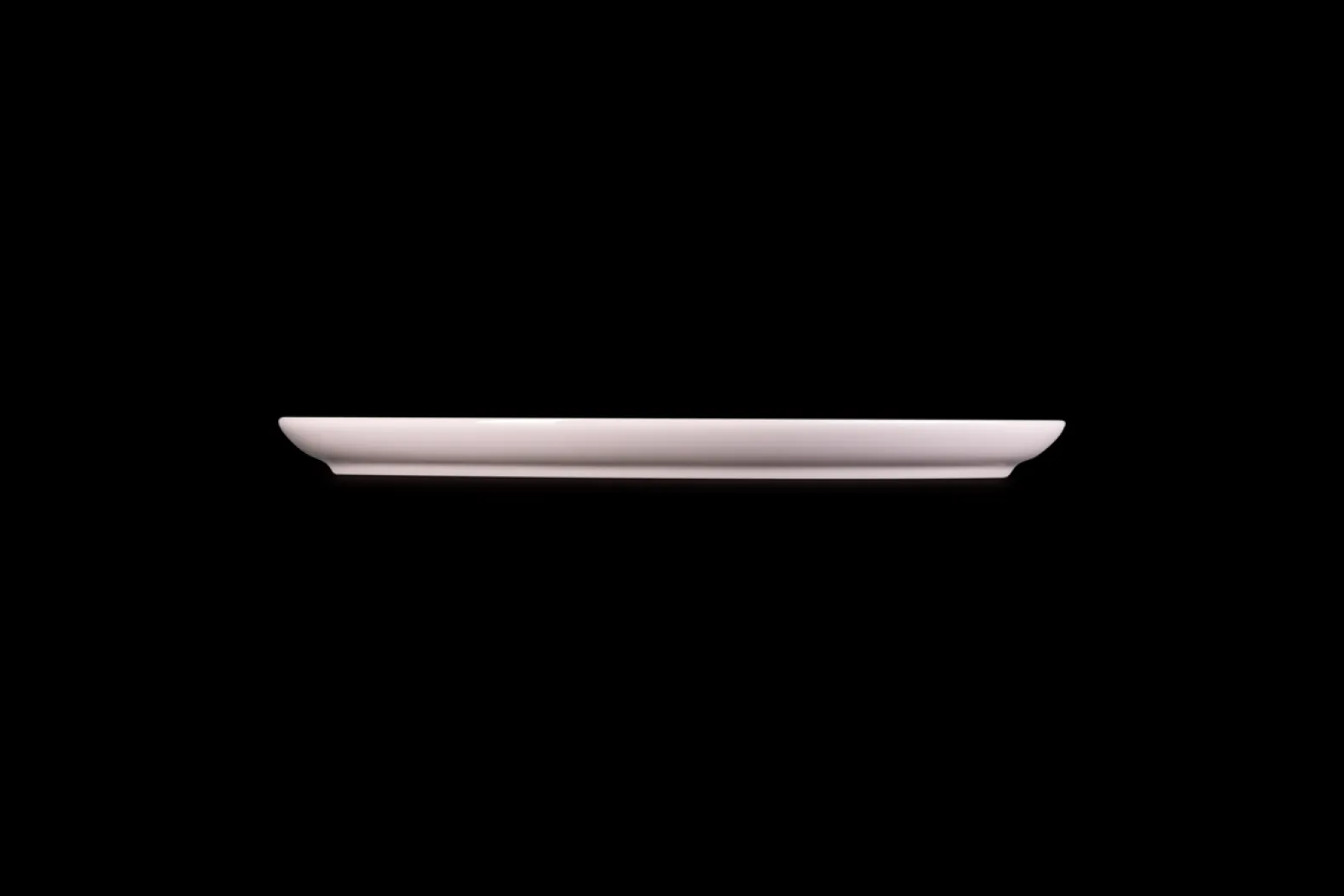 Stoneware Coupe Dinner Plate