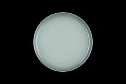 Stoneware Coupe Side Plate