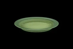 Stoneware Dinner Plate