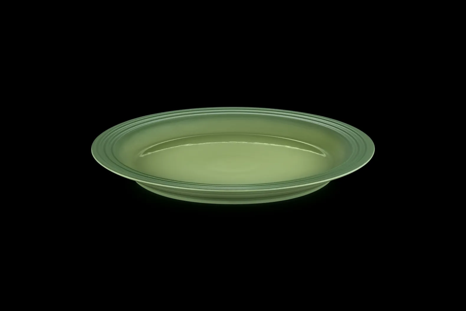 Stoneware Dinner Plate