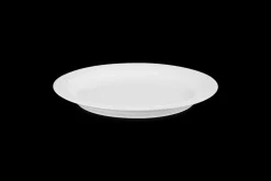 Stoneware Dinner Plate