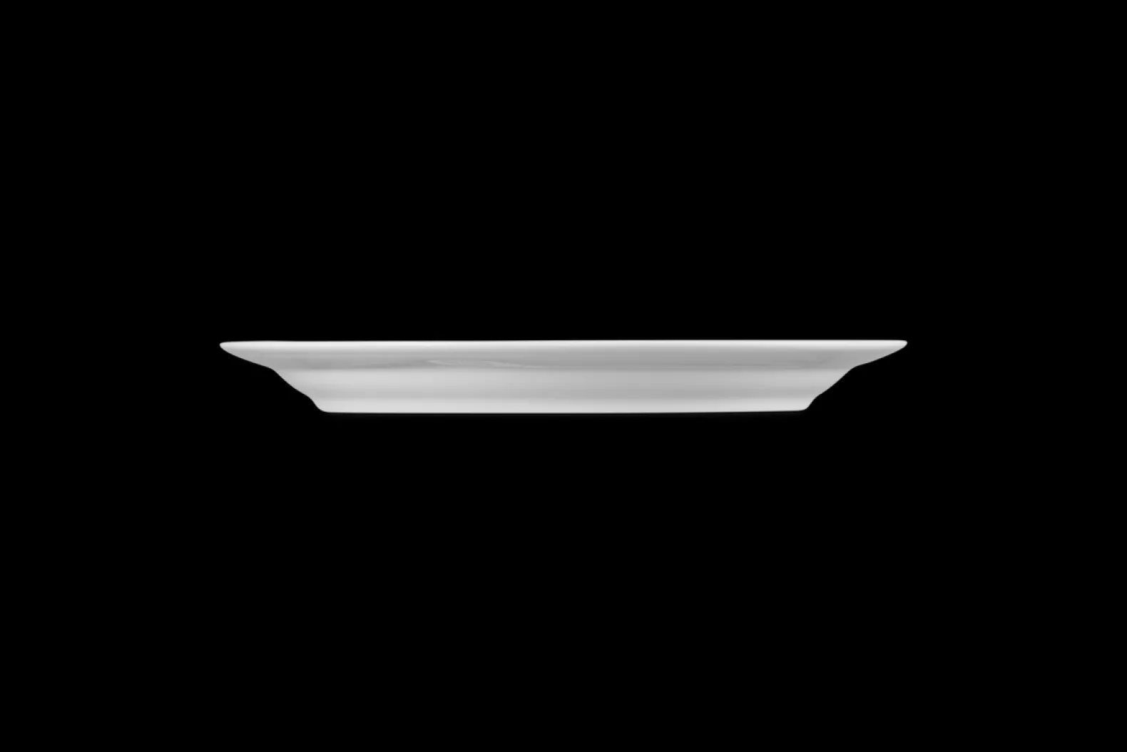 Stoneware Dinner Plate