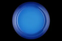 Stoneware Dinner Plate