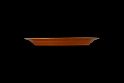 Stoneware Dinner Plate
